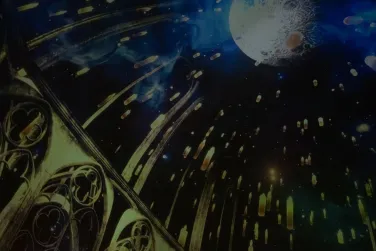 Регистрация брака под звездным небом